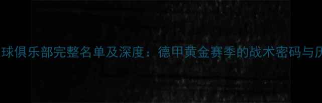 图片 08汉堡足球俱乐部完整名单及深度：德甲黄金赛季的战术密码与历史回溯2
