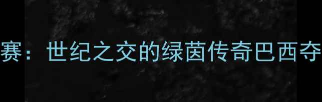 图片 1998年世界足球锦标赛：世纪之交的绿茵传奇巴西夺冠背后的战术与传奇