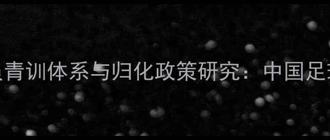 图片 2001国足海外球员青训体系与归化政策研究：中国足球发展的历史启示