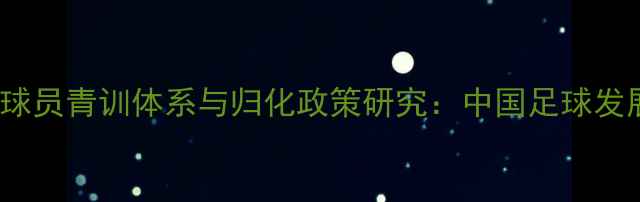 图片 2001国足海外球员青训体系与归化政策研究：中国足球发展的历史启示1