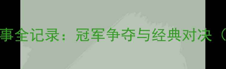 图片 2005全国运动会羽毛球赛事全记录：冠军争夺与经典对决（含技术分析及历史意义）