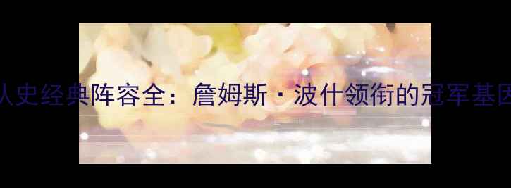 图片 2006热火队建队史经典阵容全：詹姆斯·波什领衔的冠军基因是如何炼成的