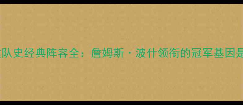 图片 2006热火队建队史经典阵容全：詹姆斯·波什领衔的冠军基因是如何炼成的1