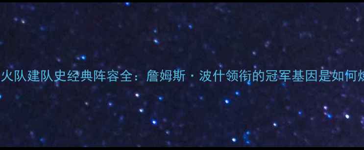 图片 2006热火队建队史经典阵容全：詹姆斯·波什领衔的冠军基因是如何炼成的2