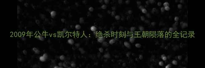 图片 2009年公牛vs凯尔特人：绝杀时刻与王朝陨落的全记录