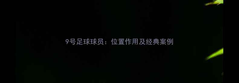图片 9号足球球员：位置作用及经典案例
