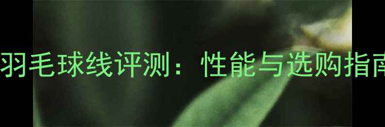 图片 AB羽毛球线评测：性能与选购指南2