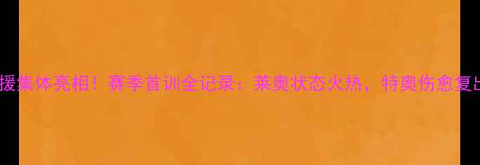 图片 AC米兰新援集体亮相！赛季首训全记录：莱奥状态火热，特奥伤愈复出引热议2
