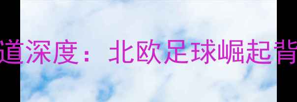 图片 BBC冰岛职业球员报道深度：北欧足球崛起背后的职业发展之路2