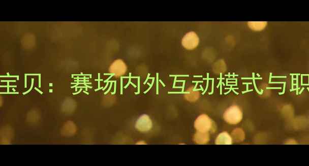 图片 CBA球员与篮球宝贝：赛场内外互动模式与职业发展新趋势2