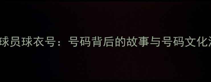 图片 CBA球员球衣号：号码背后的故事与号码文化深度
