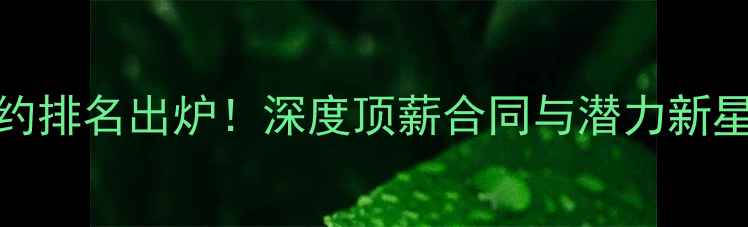 图片 CBA球员签约排名出炉！深度顶薪合同与潜力新星签约动态2