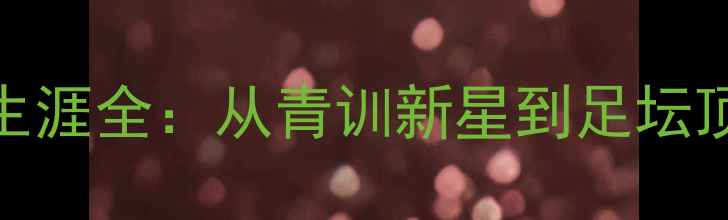 图片 Mallo球员职业生涯全：从青训新星到足坛顶流的逆袭之路2