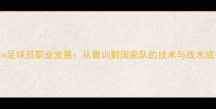 图片 Martin足球员职业发展：从青训到国家队的技术与战术成长全2