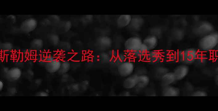 图片 NBA传奇中锋哈斯勒姆逆袭之路：从落选秀到15年职业生涯数据！1