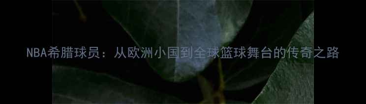 图片 NBA希腊球员：从欧洲小国到全球篮球舞台的传奇之路