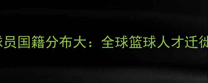 图片 NBA球员国籍分布大：全球篮球人才迁徙地图