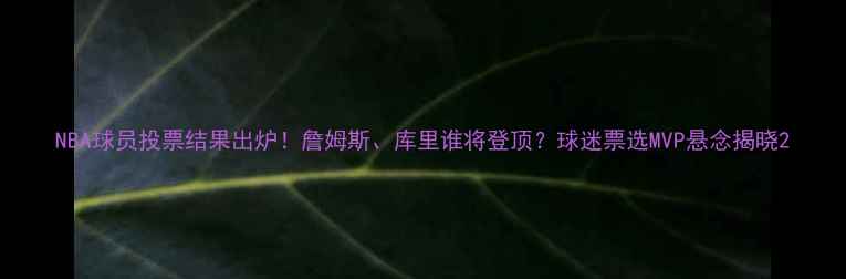 图片 NBA球员投票结果出炉！詹姆斯、库里谁将登顶？球迷票选MVP悬念揭晓2