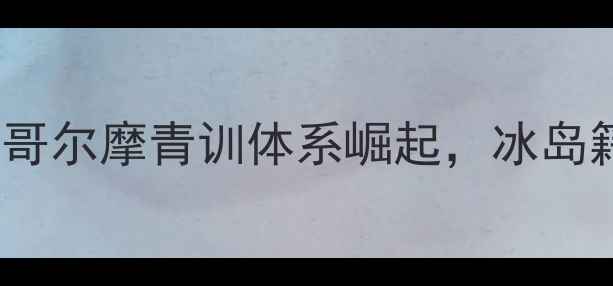 图片 NBA球员挪威：斯德哥尔摩青训体系崛起，冰岛籍球员成欧洲新势力