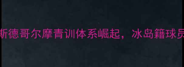 图片 NBA球员挪威：斯德哥尔摩青训体系崛起，冰岛籍球员成欧洲新势力2