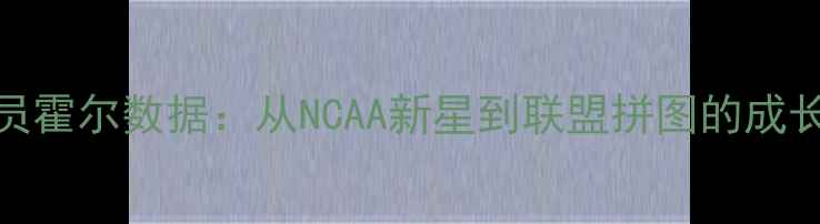 图片 NBA球员霍尔数据：从NCAA新星到联盟拼图的成长密码1