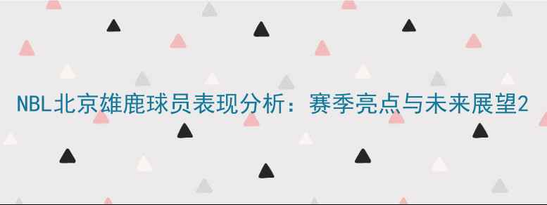 图片 NBL北京雄鹿球员表现分析：赛季亮点与未来展望2