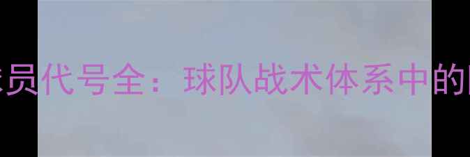 图片 NFL防守球员代号全：球队战术体系中的隐形尖刀2