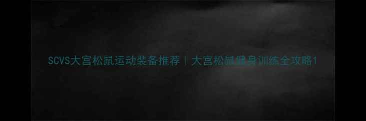 图片 SCVS大宫松鼠运动装备推荐｜大宫松鼠健身训练全攻略1