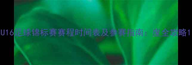 图片 U16足球锦标赛赛程时间表及参赛指南：度全攻略1
