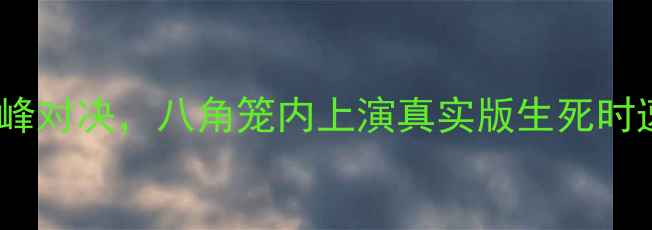 图片 UFC最新战报：张伟vs李娜巅峰对决，八角笼内上演真实版生死时速！深度选手背景与赛事看点