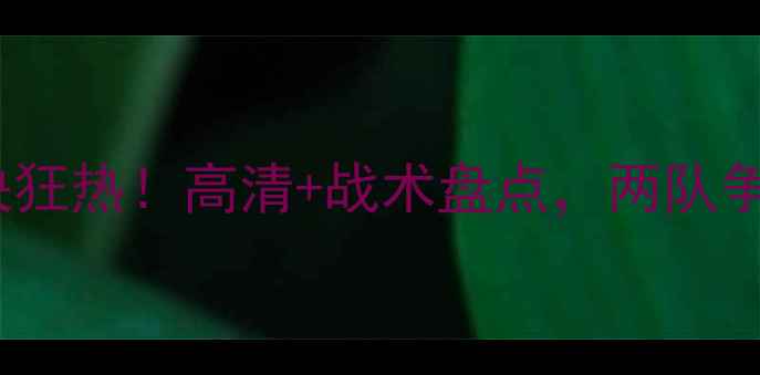 图片 WNBA王牌对决狂热！高清+战术盘点，两队争冠终极内幕2