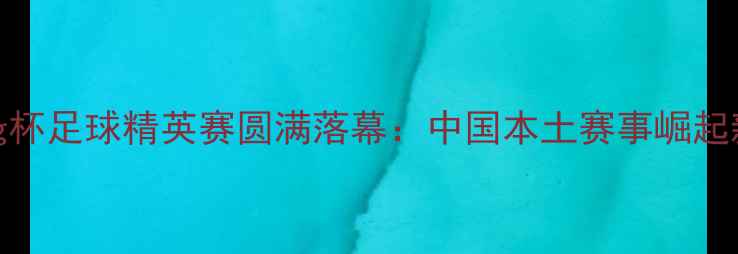 图片 Yilong杯足球精英赛圆满落幕：中国本土赛事崛起新篇章