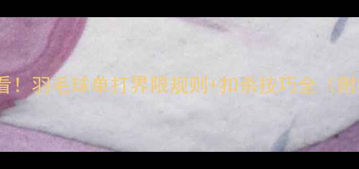 图片 ✨单打入门必看！羽毛球单打界限规则+扣杀技巧全（附实战图解）🔥2