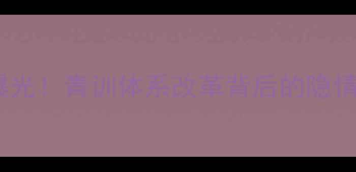 图片 ✨暴风篮球出售球员内幕曝光！青训体系改革背后的隐情与争议，深度未来走向🔥1