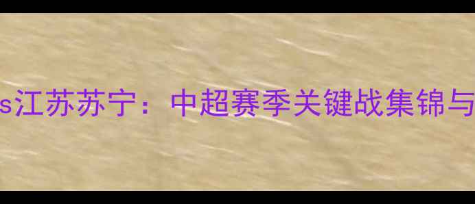 图片 上海上港vs江苏苏宁：中超赛季关键战集锦与战术深度2