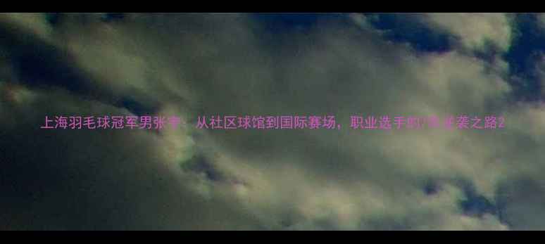 图片 上海羽毛球冠军男张宇：从社区球馆到国际赛场，职业选手的7年逆袭之路2