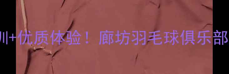 图片 专业培训+优质体验！廊坊羽毛球俱乐部全攻略2