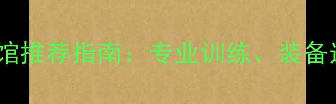 图片 专业版日本东京羽毛球馆推荐指南：专业训练、装备选购及赛事信息全攻略1