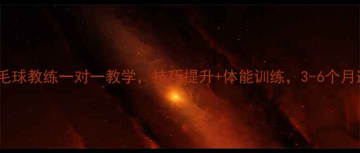 图片 专业私人上海羽毛球教练一对一教学，技巧提升+体能训练，3-6个月速成入门到进阶2