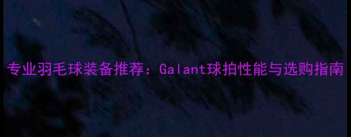 图片 专业羽毛球装备推荐：Galant球拍性能与选购指南
