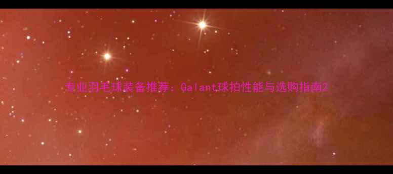 图片 专业羽毛球装备推荐：Galant球拍性能与选购指南2