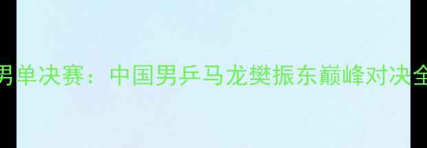 图片 世乒赛男单决赛：中国男乒马龙樊振东巅峰对决全景复盘