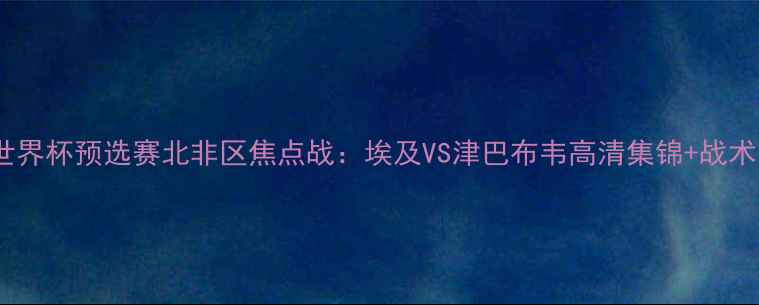 图片 世界杯预选赛北非区焦点战：埃及VS津巴布韦高清集锦+战术1