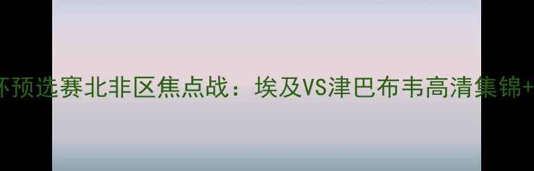 图片 世界杯预选赛北非区焦点战：埃及VS津巴布韦高清集锦+战术2