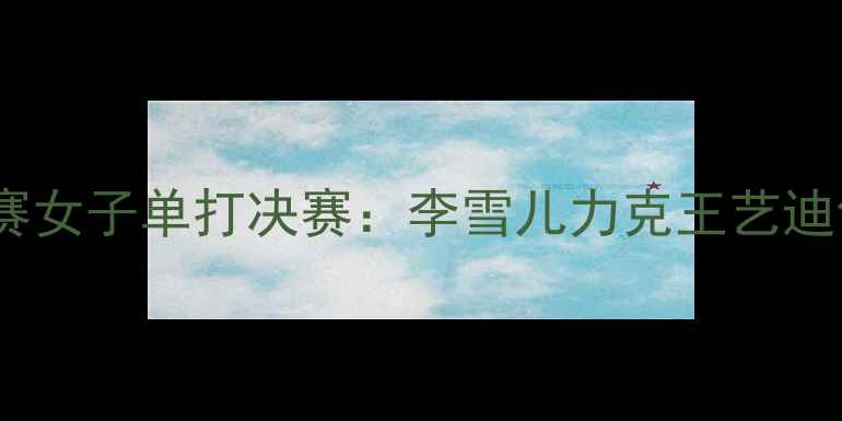 图片 世界羽毛球锦标赛女子单打决赛：李雪儿力克王艺迪创造历史性时刻2