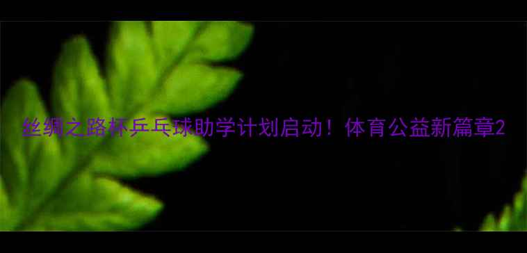 图片 丝绸之路杯乒乓球助学计划启动！体育公益新篇章2