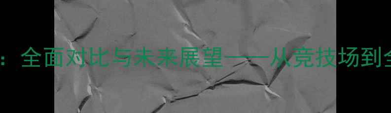 图片 中国vs日本体育：全面对比与未来展望——从竞技场到全民健身的深度2