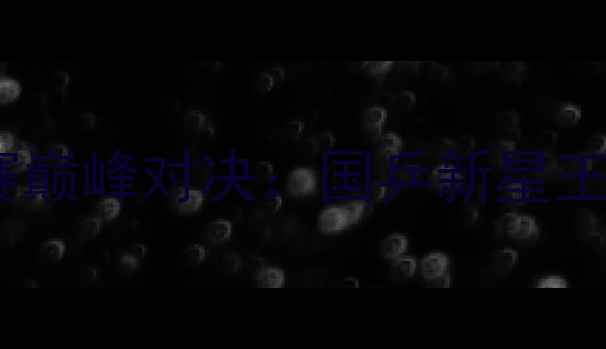 图片 中国乒乓球队全运会女单决赛巅峰对决：国乒新星王曼昱VS老将丁宁技术应用全2