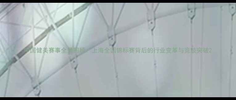 图片 中国健美赛事全景回顾：上海全国锦标赛背后的行业变革与竞技突破2
