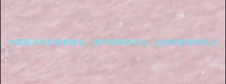 图片 中国留洋球员最新阵容！海外联赛表现全，这些新星值得关注